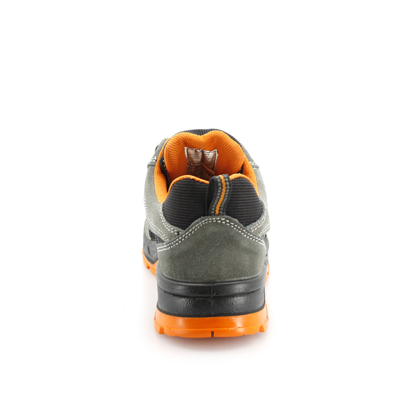 RHINO – Trueno